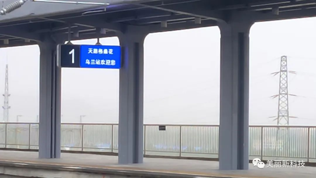 ls38sg05.png
